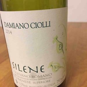 Silene - Damiano Ciolli - damiano-ciolli