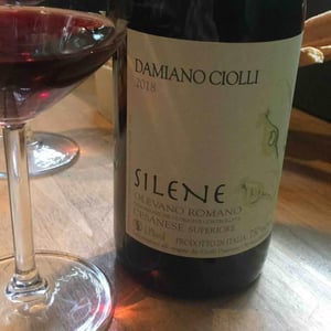 Silene - Damiano Ciolli - damiano-ciolli
