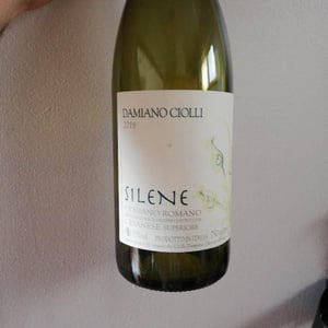Silene - Damiano Ciolli - damiano-ciolli