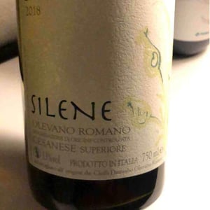 Silene - Damiano Ciolli - Damiano Ciolli 