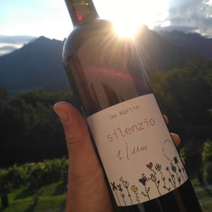 Silenzio - UVA, MANI E CUORE - giulia-marchioni-adriano-de-martin -2021