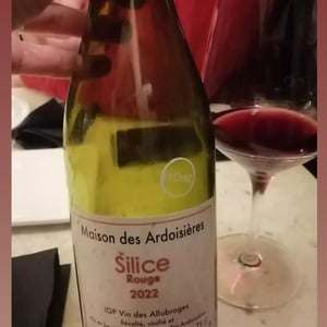 Silice Rouge "Maison des Ardoisières" - Domaine Des Ardoisières - brice-omont