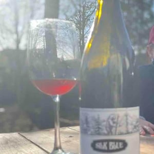 Silk Blue - Domaine Hughes-Beguet - caroline-patrice-hughes-beguet