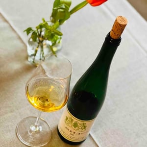 SILT Lieu Dit - Weingut Rebenhof - hartmut-aubell -2015