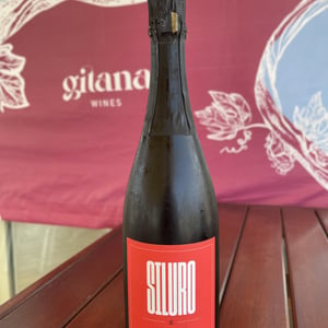 Siluro - Tenuta l'Armonia - andrea-pendin