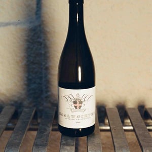 Silvaner Grauer Stein - Weingut Saalwächter - carsten-saalwachter -2020