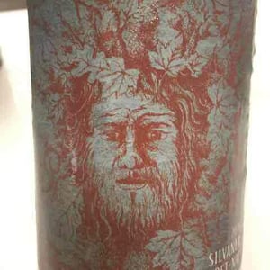 Silvaner Pet Nat - 2 Naturkinder - melanie-drese-michael-volker