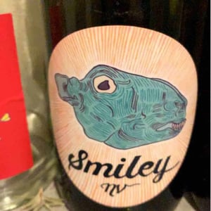 Silwervis Smiley NV V3