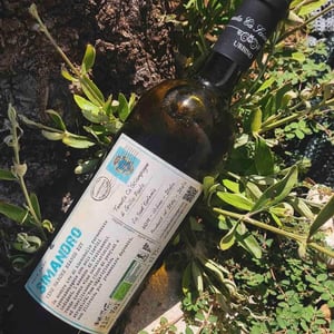 Simandro - Tenuta Ca’ Sciampagne - leonardo-cossi-paola-grillo