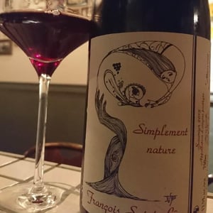 Simplement Nature - François Saint-Lô - François Saint-Lô 