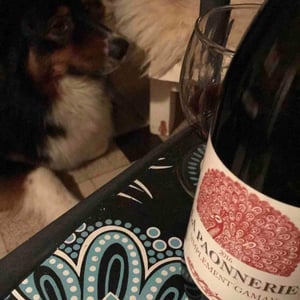 Simplement Gamay - La Paonnerie - marie-carroget