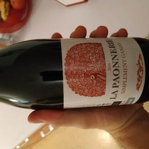 Simplement Gamay - La Paonnerie - marie-carroget