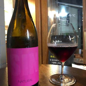 SIN Tinto - Els Vinyerons / Sin Project - Amós Bañeres Merinero & Alex Ruiz Masachs -2020