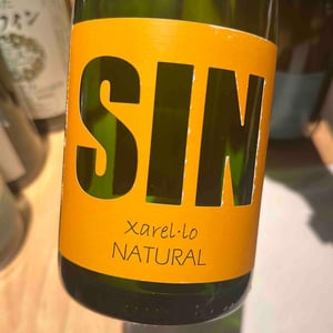 Sin Cava Xarel-lo - Els Vinyerons / Sin Project - Amós Bañeres Merinero & Alex Ruiz Masachs -2020