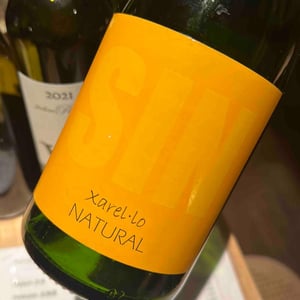 Sin Cava Xarel-lo - Els Vinyerons / Sin Project - Amós Bañeres Merinero & Alex Ruiz Masachs -2020