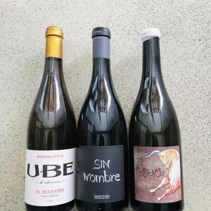 Sin Nombre - MicroBioWines - ismael-gozalo