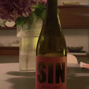 SIN Tinto - Els Vinyerons / Sin Project - Amós Bañeres Merinero & Alex Ruiz Masachs -2020