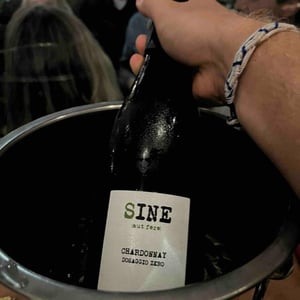 Sine - La Graine Sauvage - Sybil Baldassarre 