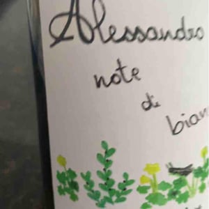 Azienda Agricola Alessandro Viola - Alessandro Viola - Sinfonia di Bianco