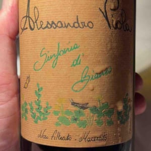 Sinfonia di Grillo - Azienda Agricola Alessandro Viola - Alessandro Viola 
