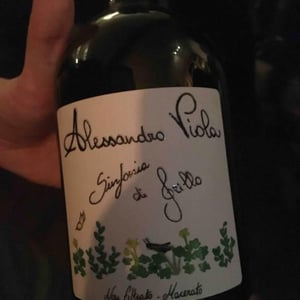 Azienda Agricola Alessandro Viola - Alessandro Viola - Sinfonia di Grillo