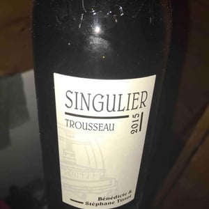 Singulier - Domaine André & Mireille Tissot - benedicte-stephane-tissot