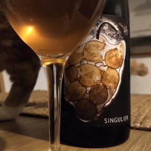 Singulier 2017