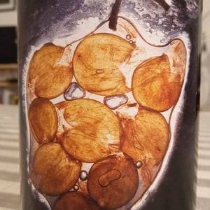Singulier - Vignoble du Rêveur - mathieu-deiss-emmanuelle-milan