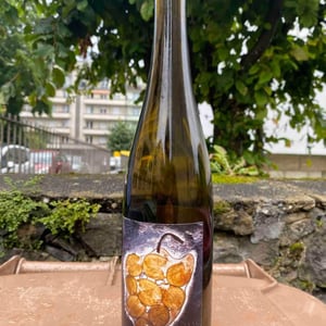 Vignoble du Rêveur - Mathieu Deiss & Emmanuelle Milan - Singulier