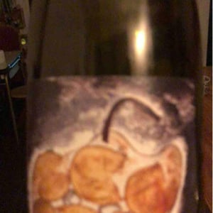 Vignoble du Rêveur - Mathieu Deiss & Emmanuelle Milan - Singulier
