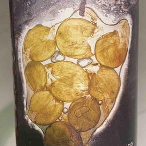 Singulier - Vignoble du Rêveur - mathieu-deiss-emmanuelle-milan