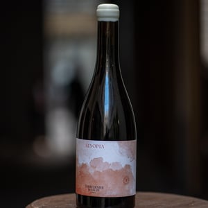 Sinopia - Domaine Torredemer Mangin - romain-torredemer-et-thomas-mangin