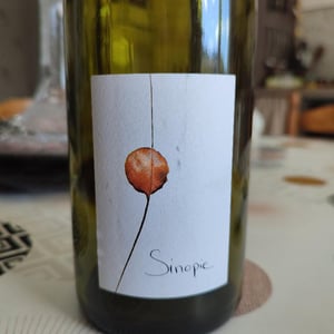 Sinopie 2021