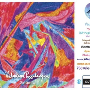 Sintonia - Valentina Passalacqua - valentina-passalacqua