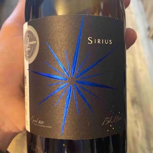 Sirius A - Domaine des Célestes - Julien Sefraoui Nowak -2021