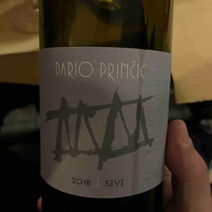 Sivi - Dario Prinčič - dario-princic -2017