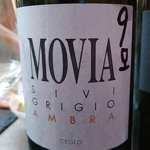 Sivi Grigio Ambra - Movia - ales-kristancic