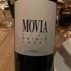 Sivi Grigio Ambra - Movia - ales-kristancic