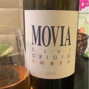 Sivi Grigio Ambra - Movia - Aleš Kristančič 