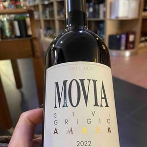 Sivi Grigio Ambra - Movia - ales-kristancic