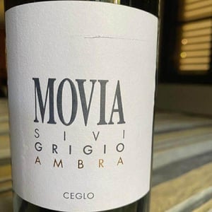 Sivi Grigio Ambra - Movia - Aleš Kristančič 