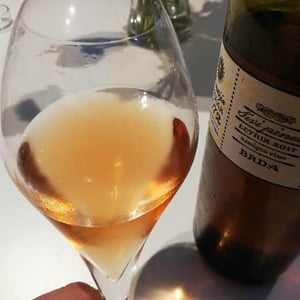 Sivi Pinot 006 - Kmetija Štekar - janko-stekar