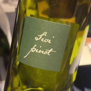 Sivi Pinot - Kabaj - Jean Michel Morel & Katya Kabaj 