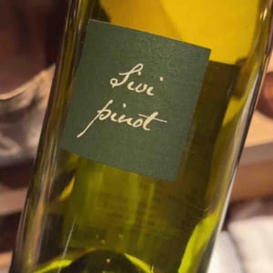 Sivi Pinot - Kabaj - Jean Michel Morel & Katya Kabaj 