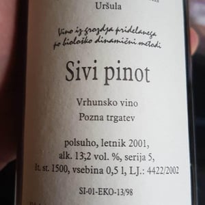 Sivi Pinot - Organic Anarchy - aci-urbajs