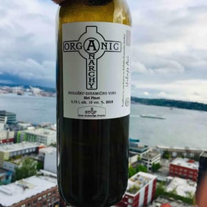 Sivi Pinot - Organic Anarchy - Aci Urbajs 