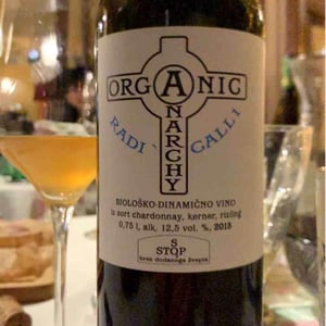 Sivi Pinot - Organic Anarchy - Aci Urbajs 