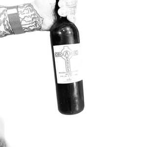 Sivi Pinot - Organic Anarchy - Aci Urbajs 