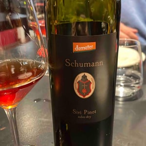 Sivi Pinot Grigio - Šuman Vina - Radovan & Simona Šuman 
