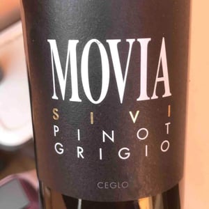 Sivi Pinot Grigio - Movia - ales-kristancic